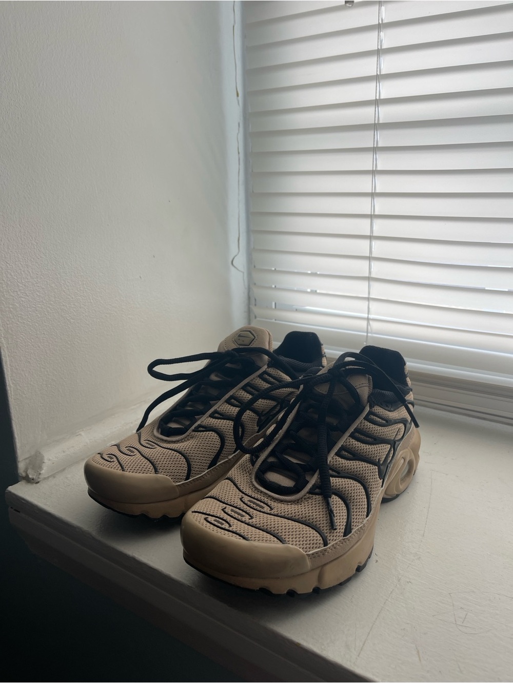 Nike Tan and Black Mesh Trainer